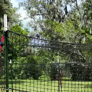 Close-up 16:9 landscape view of The P.I.G. Hog Trap™ showing the support pole, bracket connection, and net strap assembly used in a professional feral hog trapping system for complete sounder removal.