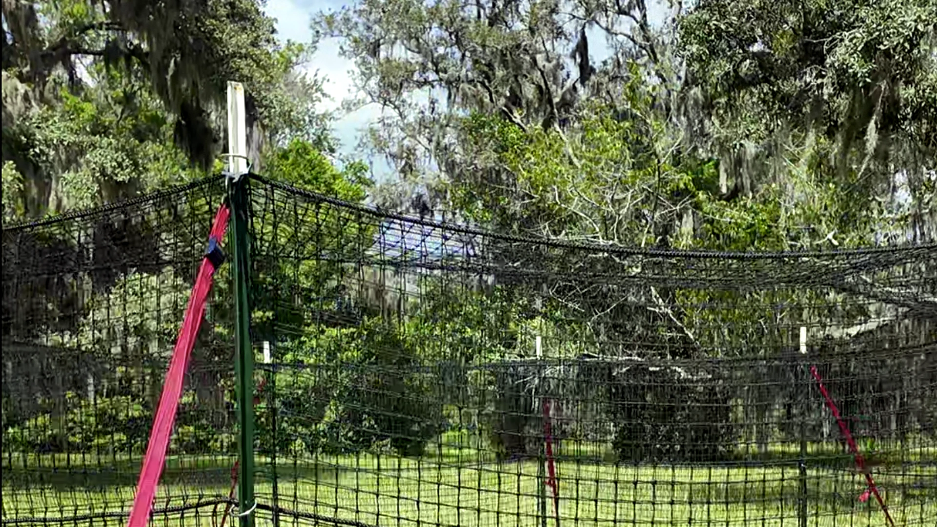 Close-up 16:9 landscape view of The P.I.G. Hog Trap™ showing the support pole, bracket connection, and net strap assembly used in a professional feral hog trapping system for complete sounder removal.