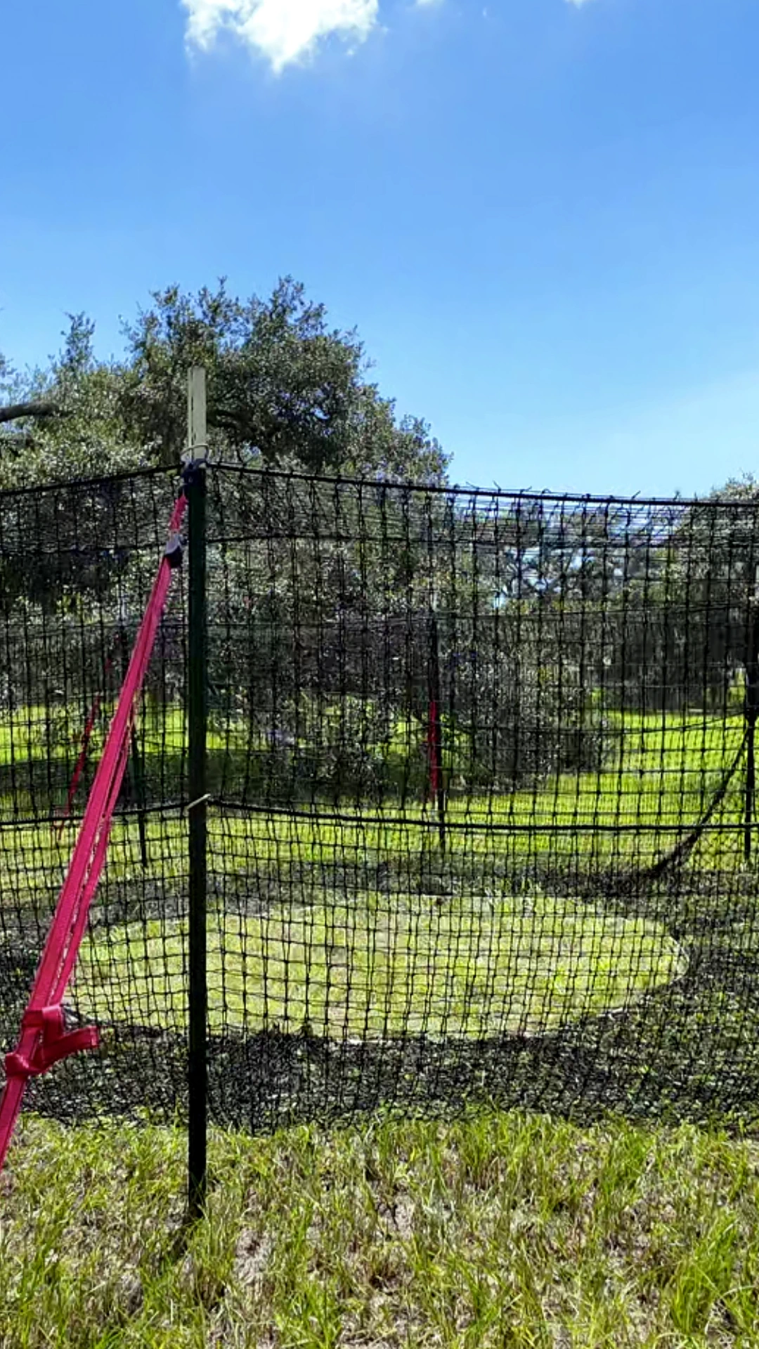 9:16 vertical close-up view of The P.I.G. Hog Trap™ showing the support pole, bracket assembly, and net attachment strap at ground level, highlighting a durable wild hog trapping system designed for complete sounder removal and effective feral hog control.