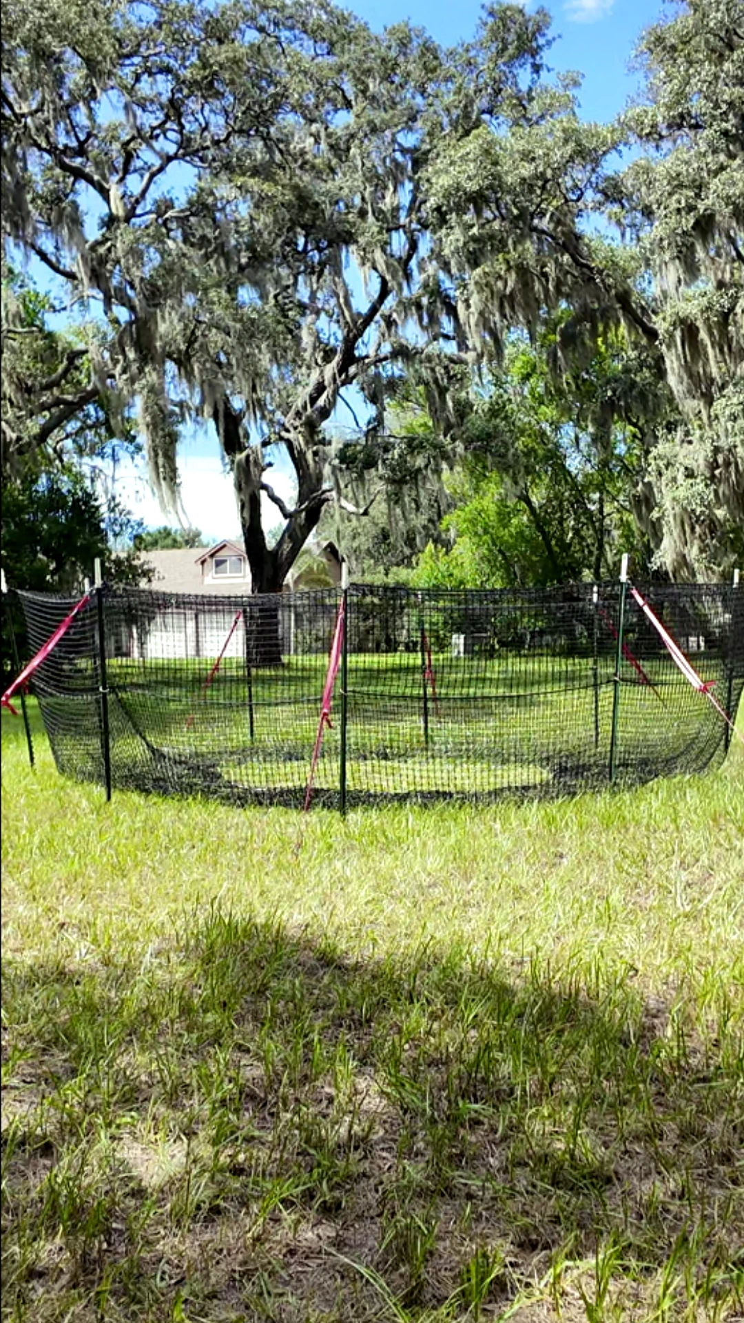 9:16 vertical medium-close view of The P.I.G. Hog Trap™ at ground level with a home in the background, showcasing a complete sounder removal system designed to help protect homes, property, and surrounding land from feral hog damage.