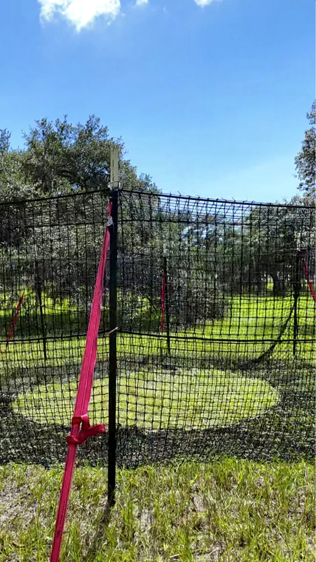 9:16 vertical medium-close view of The P.I.G. Hog Trap™ at ground level, showcasing a complete wild hog trapping system engineered for feral hog control, complete sounder removal, and long-term feral swine management.