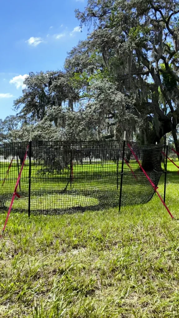 9:16 vertical medium-close view of The P.I.G. Hog Trap™ at ground level, showcasing a professional feral hog trapping system designed for complete sounder removal and effective feral hog control.