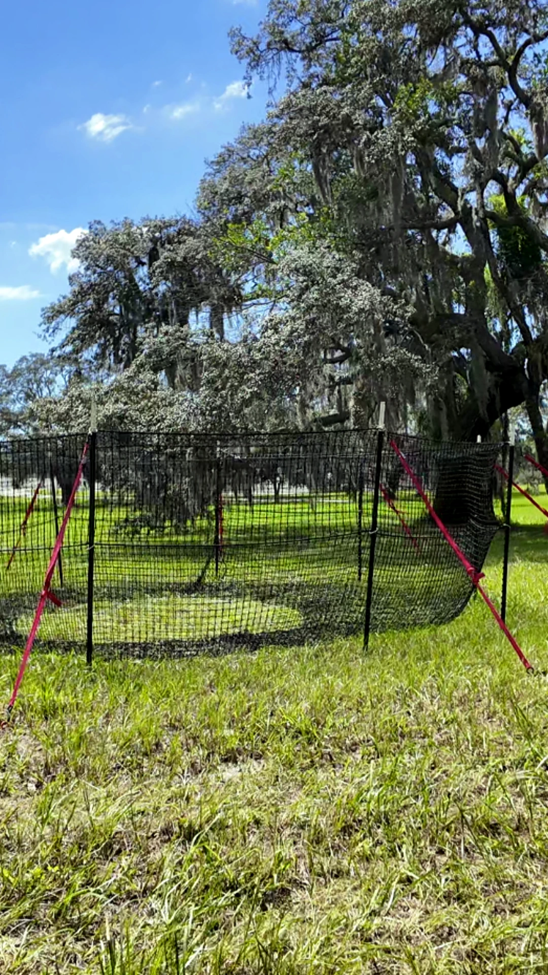 9:16 vertical medium-close view of The P.I.G. Hog Trap™ at ground level, showcasing a professional feral hog trapping system designed for complete sounder removal and effective feral hog control.