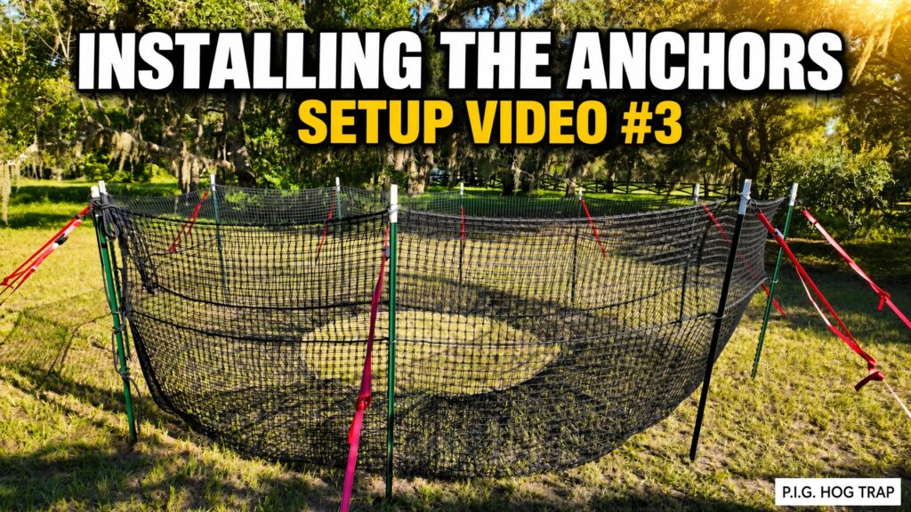 YouTube thumbnail for P.I.G. Hog Trap Setup Video #3 showing the assembled circular black net trap on green T-posts with red straps under oak trees, with the text Installing the Anchors and Setup Video #3.