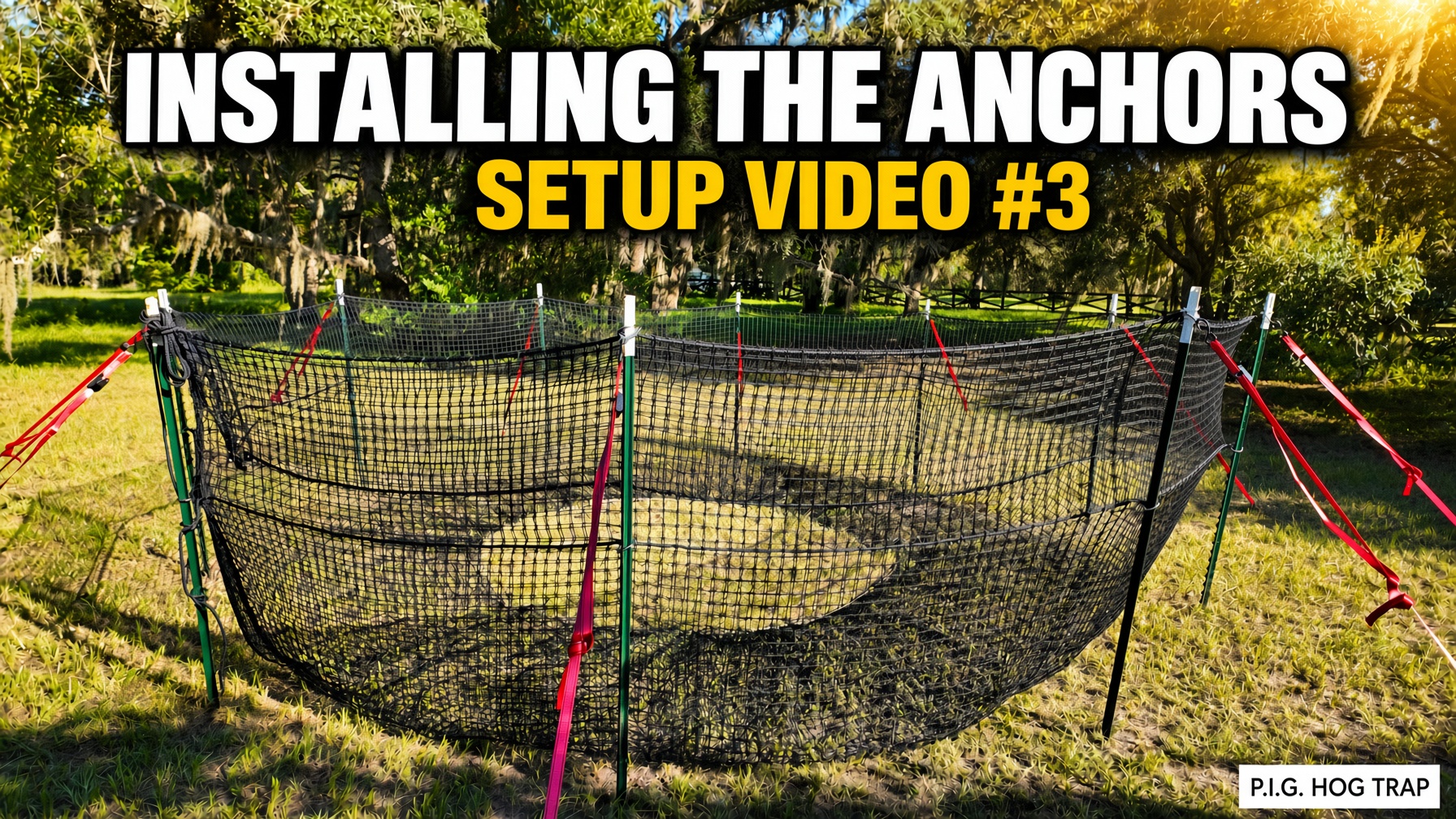 YouTube thumbnail for P.I.G. Hog Trap Setup Video #3 showing the assembled circular black net trap on green T-posts with red straps under oak trees, with the text Installing the Anchors and Setup Video #3.