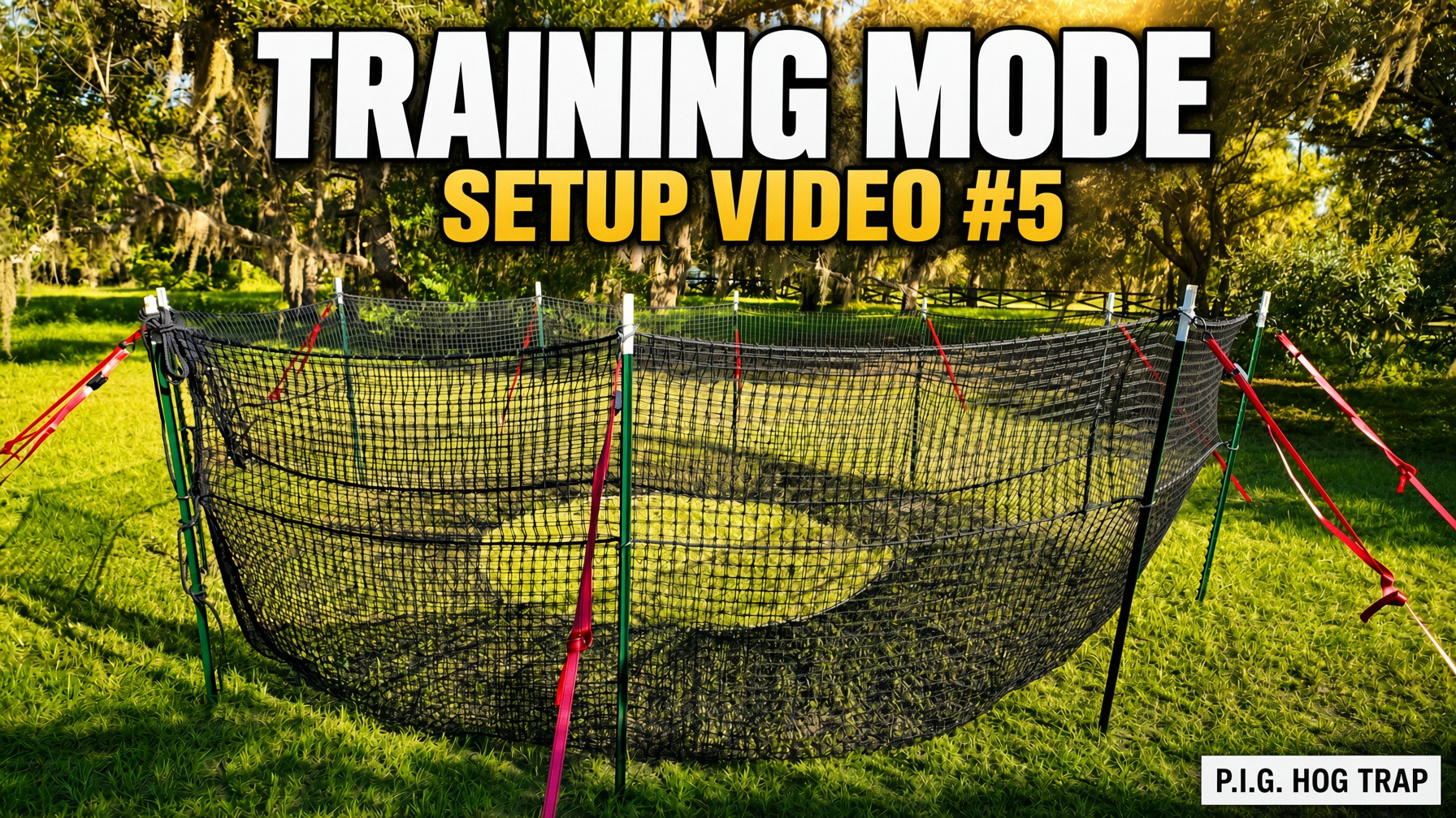 YouTube thumbnail for P.I.G. Hog Trap Setup Video #5 showing the assembled circular black net trap on green T-posts with red straps under oak trees, with the text Training Mode and Setup Video #5.