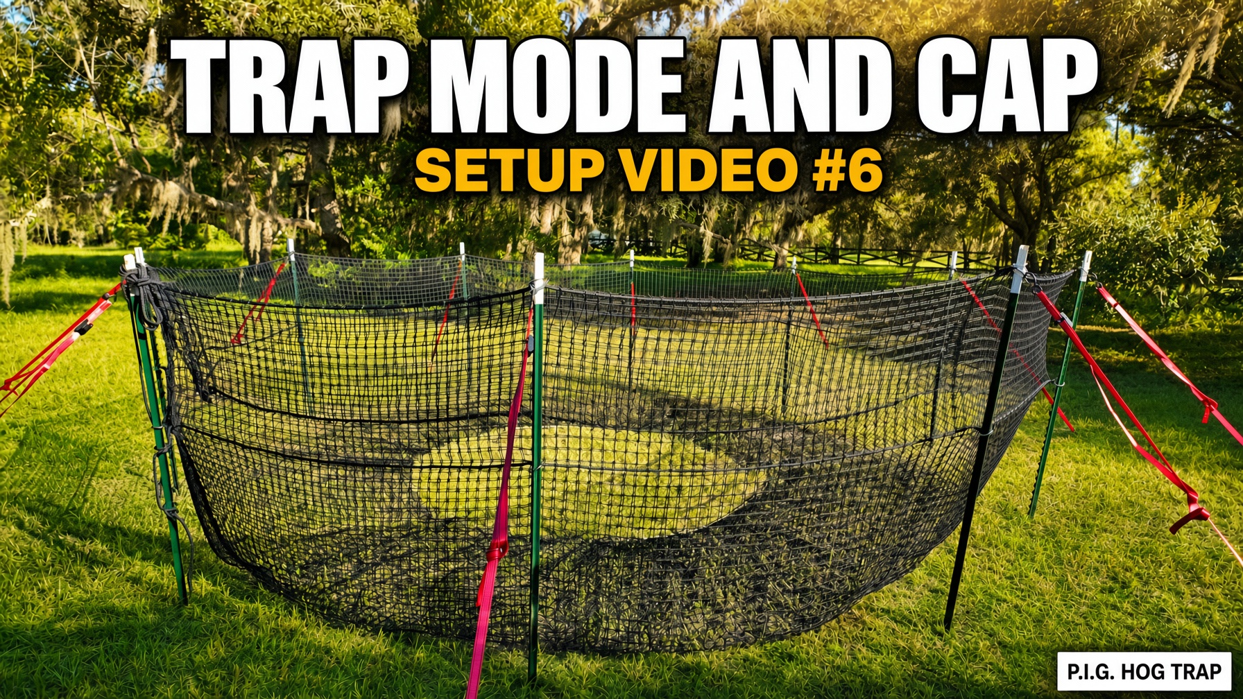 YouTube thumbnail for P.I.G. Hog Trap Setup Video #6 showing the assembled circular black net trap on green T-posts with red straps under oak trees, with the text Trap Mode and Cap and Setup Video #6.