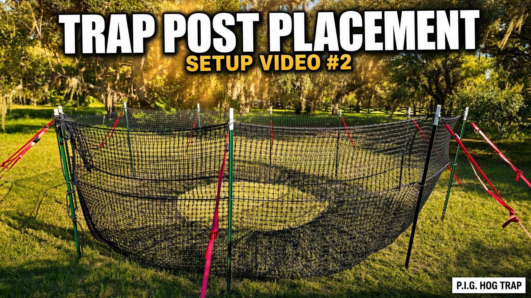 YouTube thumbnail for P.I.G. Hog Trap Setup Video #2 showing the assembled circular black net trap on green T-posts with red straps under oak trees, with the text Trap Post Placement and Setup Video #2.