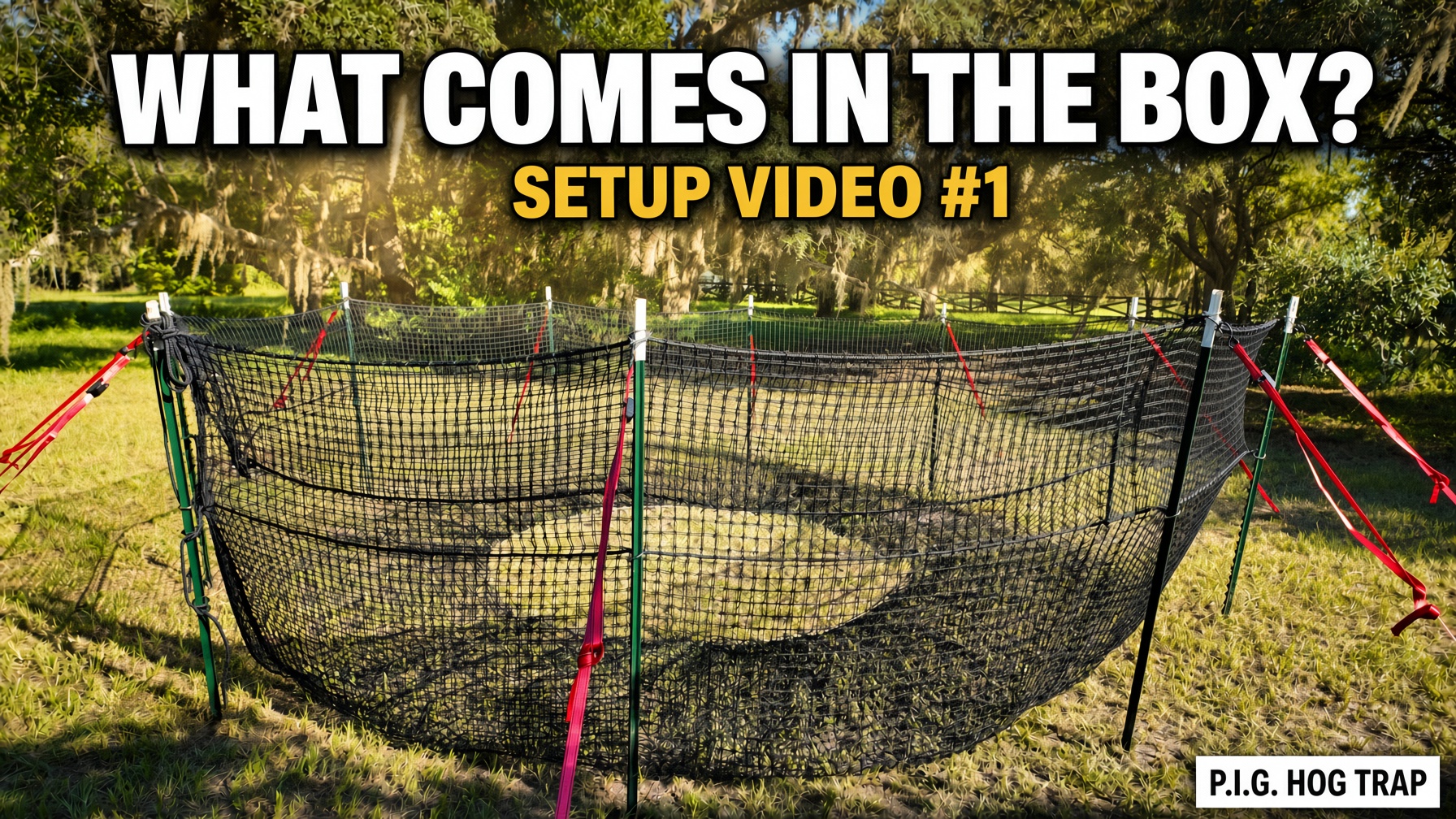 YouTube thumbnail for P.I.G. Hog Trap Setup Video #1 showing the assembled circular black net trap on green T-posts with red straps under oak trees, with the text What Comes in the Box? and Setup Video #1.